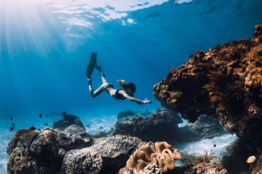Kadın serbest dalgıç mercanların yanında yüzgeçlerle süzülüyor. Mavi okyanusta serbest dalış ve güneş ışığı