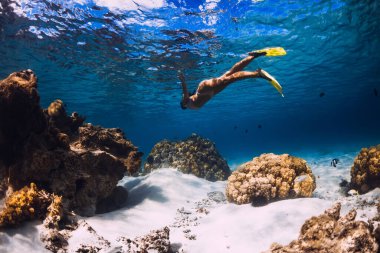 Mavi okyanusta yüzen serbest yüzücü bir kadın. Mauritius 'ta serbest dalış ya da şnorkelle yüzme