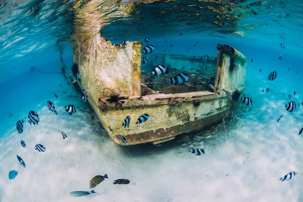 Blue ocean with wreck of boat on sandy bottom and tropical fish underwater in Mauritius