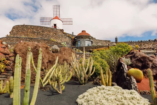 Ogród Kaktusowy Wyspie Lanzarote Wyspy Kanaryjskie — Zdjęcie stockowe