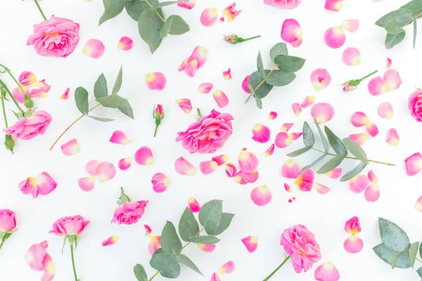 Květinový Vzor Růžovými Růžemi Květy Eukalyptem Bílém Pozadí Byt Ležel — Stock fotografie