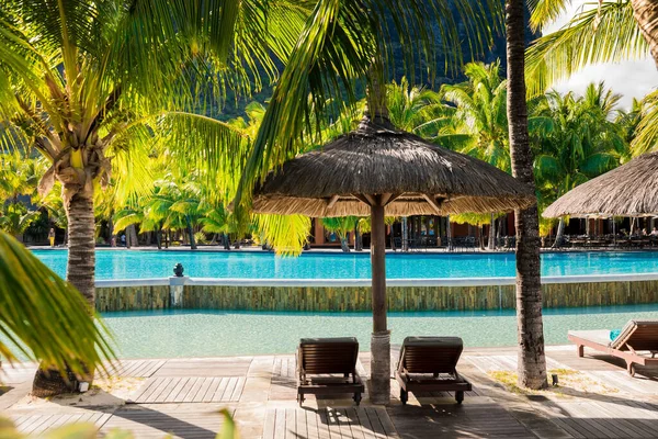Luxusní Letovisko Kokosovými Palmami Bazénem Lehátkem Tropická Vlajka Dovolené — Stock fotografie