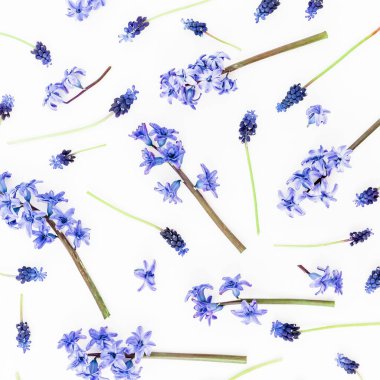 Beyaz arka planda bahar çiçekleri ve taç yaprakları olan çerçeve. Düz yatış, üst görünüm.