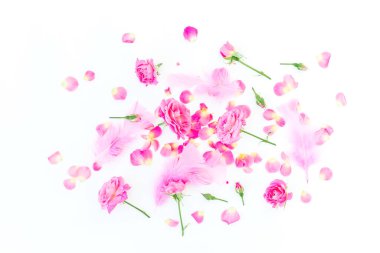 Beyaz arka planda izole edilmiş pembe yapraklı çiçekler. Düz yatıyordu. Üst görünüm