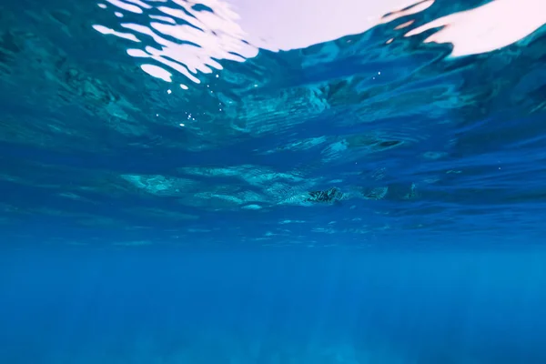 Tropical Transparent Ocean Underwater Tropics — Stock Photo, Image