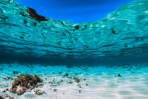 Tyrkysová Mořská Voda Písčitým Dnem Pod Vodou Tropické Moře Ostrově — Stock fotografie