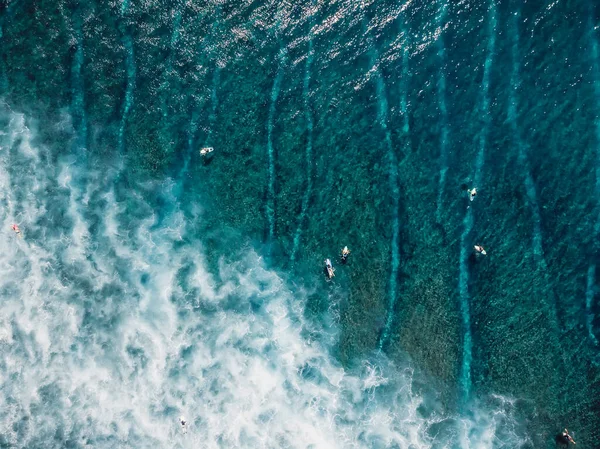 从空中俯瞰蓝色海洋中的许多冲浪者 顶部视图 — 图库照片