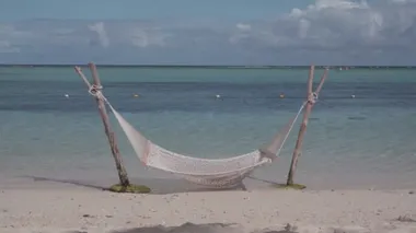 Tropik sahil ve okyanusta hamak. Tropik tatiller