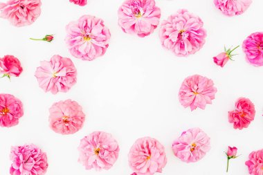 Beyaz arka planda pembe güllerin çiçek çerçevesi. Düz yatış, Üst Görünüm