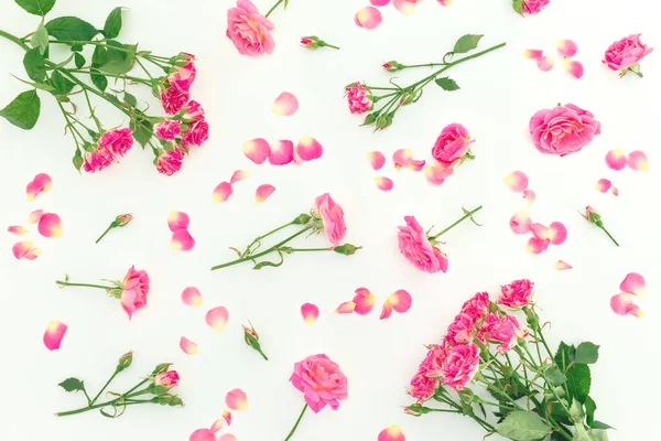 Patrón Floral Rosas Rosadas Flores Sobre Fondo Blanco Piso Tendido —  Fotos de Stock