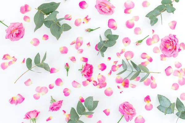 Patrón Floral Con Flores Rosas Rosadas Ramas Eucalipto Sobre Fondo —  Fotos de Stock