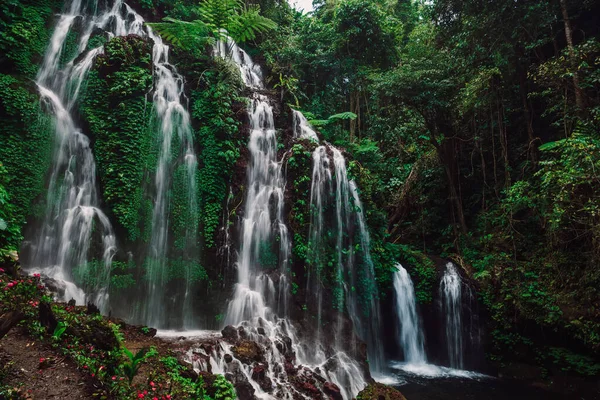 Kaskadowy Wodospad Tropikalnym Lesie Deszczowym Bali — Zdjęcie stockowe