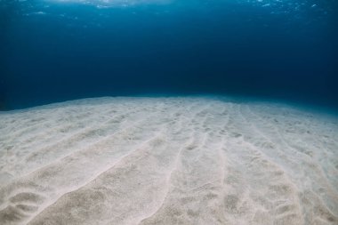 Derinlerde tropik mavi okyanus, Hawaii 'de su altında beyaz kum.