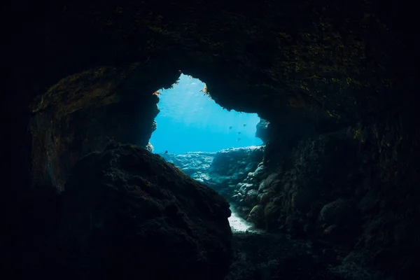 Scène Sous Marine Avec Grotte Dans Océan Bleu — Photo