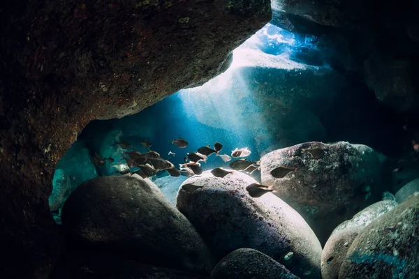 Подводная Сцена Школой Рыб Камней Солнечных Лучей Океане — стоковое фото