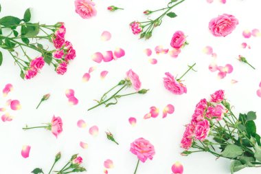 Beyaz arka planda izole edilmiş pembe gül ve taç yaprakları. Düz yatış, Üst Görünüm