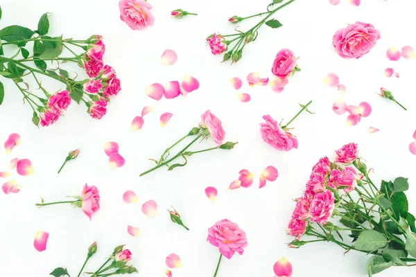 粉红色的玫瑰和花瓣的花纹 在白色的背景上被隔离 平躺在顶楼 — 图库照片