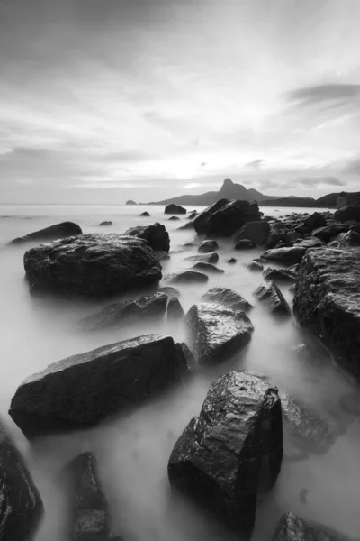 Plaj manzarası siyah beyaz