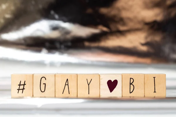 Holzwürfel mit Hashtag und dem Wort bi und gay, Social-Media-Konzept — Stockfoto