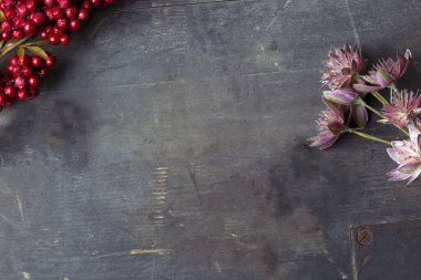 Red rowan berries on vintage rustic wooden background Autumn background with red berries and copyspase christmas background with red berries space for text