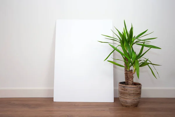 Modern interior, white wall with green plants on PVC floor against white wall with Blank empty poster or frame for text. Retro Royalty Free Stock Photos