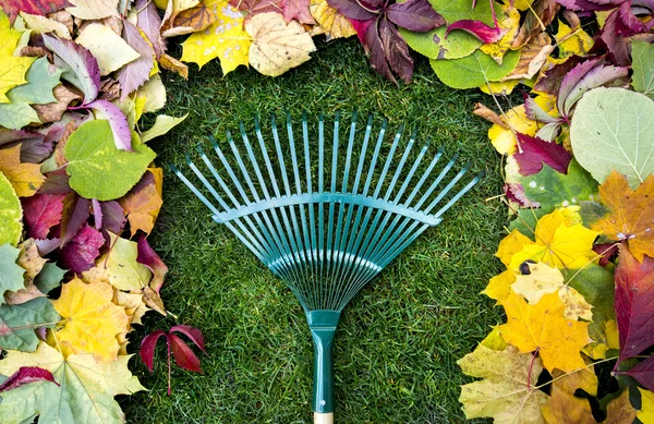 Rastrillo en un palo de madera y follaje de otoño de colores. Recogiendo recortes de hierba. Herramientas de jardín . —  Fotos de Stock