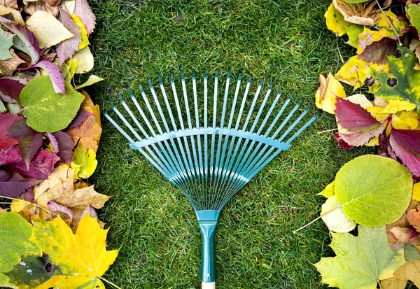 Rastrillo en un palo de madera y follaje de otoño de colores. Recogiendo recortes de hierba. Herramientas de jardín . —  Fotos de Stock