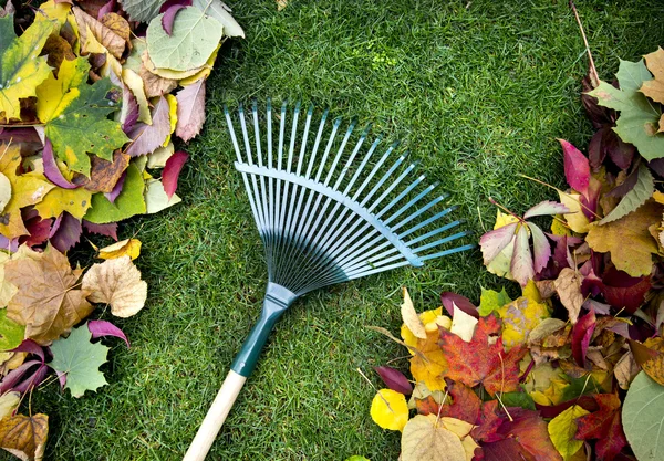 Rastrillo en un palo de madera y follaje de otoño de colores. Recogiendo recortes de hierba. Herramientas de jardín . — Foto de Stock