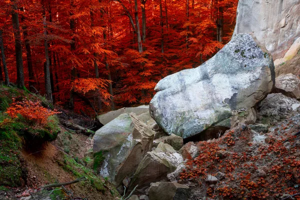 Deep moss autumn forest with big stone. — Stock Photo, Image