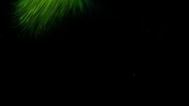 Renkli mürekkep su ağır çekimde. Siyah arka plan üzerine Özet görüntüleri.