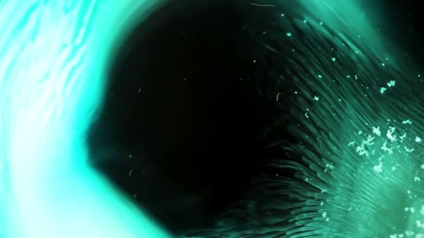 컬러 잉크 물 슬로우 모션입니다. 검은 배경에 초록 영상. — 비디오