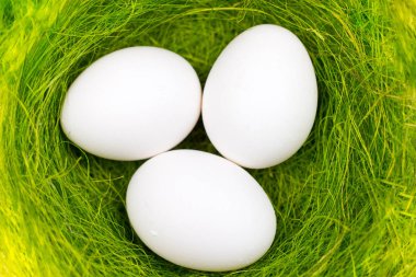 Beyaz yumurta pastel Sarı zemin üzerine yeşil yuvaya. Minimalizm biçemi kapatın.