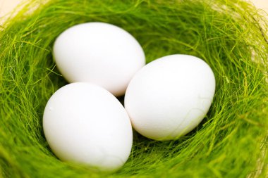 Beyaz yumurta pastel Sarı zemin üzerine yeşil yuvaya. Minimalizm biçemi kapatın.