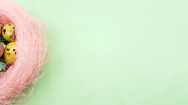 Paskalya Bıldırcın yumurta pastel yeşil zemin üzerine pembe yuvadaki renk. Yakın çekim.
