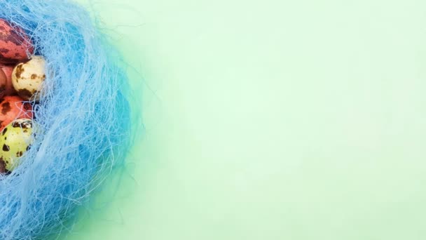 Пасхальные Перепелиные Яйца Голубом Гнезде Зеленом Пастельном Фоне Закрыть — стоковое видео