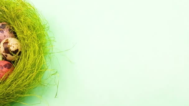 Пасхальные Перепелиные Яйца Зеленом Гнезде Зеленом Пастельном Фоне Закрыть — стоковое видео