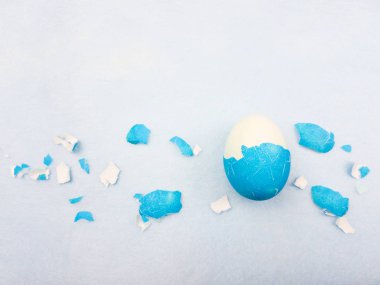 Paskalya renkli yumurta kabuğu pastel mavi zemin üzerine pişmiş yumurta etrafında. Makroyu kapat.