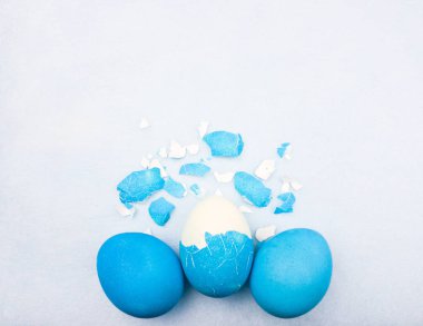 Paskalya renkli yumurta kabuğu pastel mavi zemin üzerine pişmiş yumurta etrafında. Makroyu kapat.