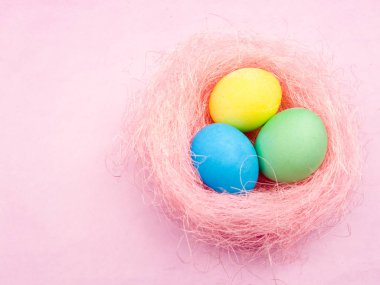 Renkli Paskalya yumurtaları pastel arka plan üzerinde pembe yuvaya.