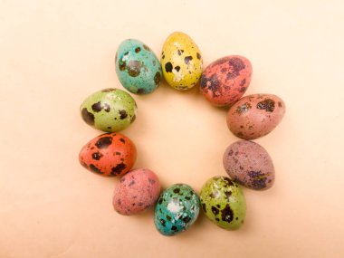 Bıldırcın yumurta üzerinde pastel sarı arka plan rengi. Yakın çekim.