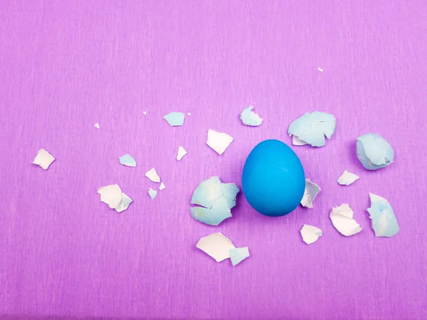 Easter color egg shell around the cooked egg on a pastel pink background. Close up macro.