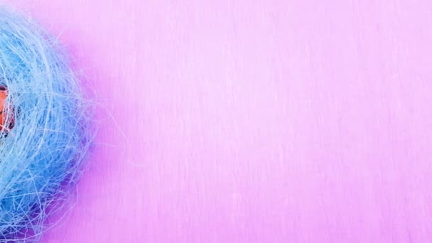 复活节彩色鹌鹑蛋在蓝色巢在紫色背景下 — 图库视频影像
