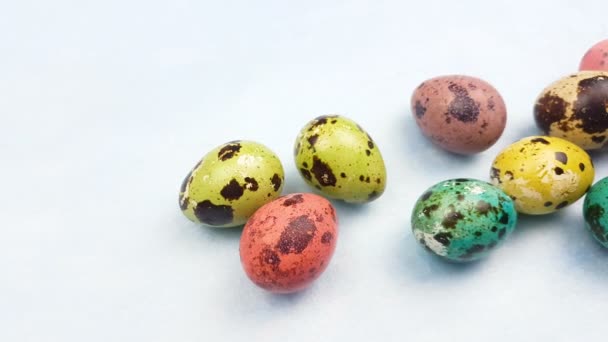 Easter Quail Color Eggs Pastel Blue Background Close — Stock Video