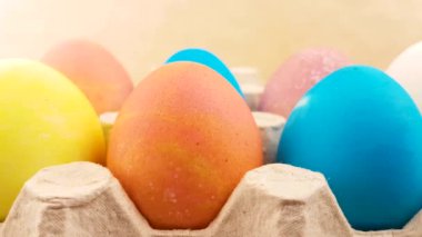 Renk yumurta kutusundaki kapat.