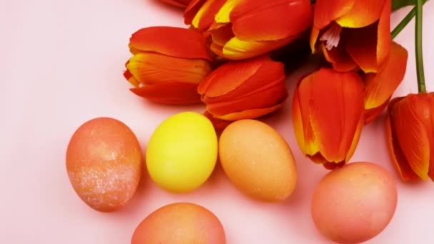 Oeufs Couleur Pâques Avec Tulipes Rouges Sur Fond Rose Pastel — Video