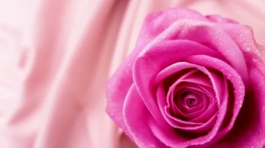 Su ile pembe Gül ipek kumaş üzerine dönen bırakır. Döngü görüntüleri.