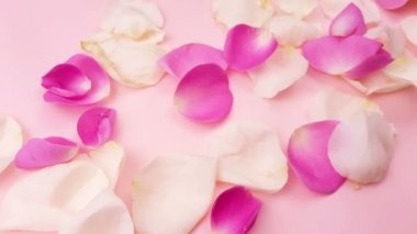 Pastel pembe bir arka plan üzerinde beyaz ve pembe gül yaprakları.