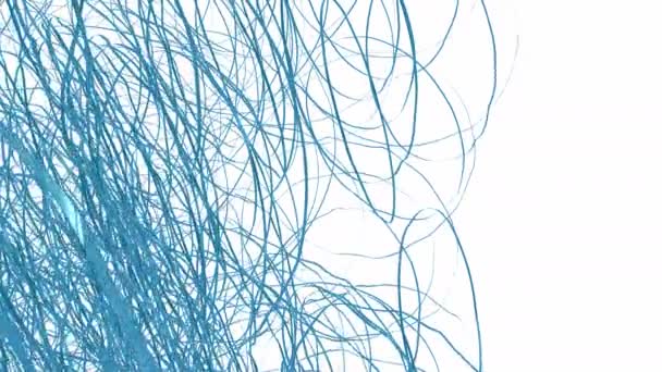 Хаотичні Абстрактні Кольорові Лінії Ізольовані Білому Тлі Набір Різних Кольорів — стокове відео