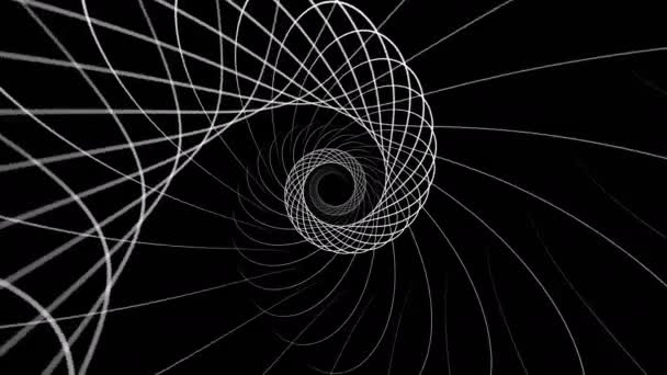 Animation Abstrakter Wellenlinien Schwarz Und Weiß — Stockvideo