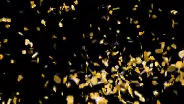 Feestexplosie Confetti Zwarte Achtergrond Maken Animatie Van Confetti Vallen Met — Stockvideo